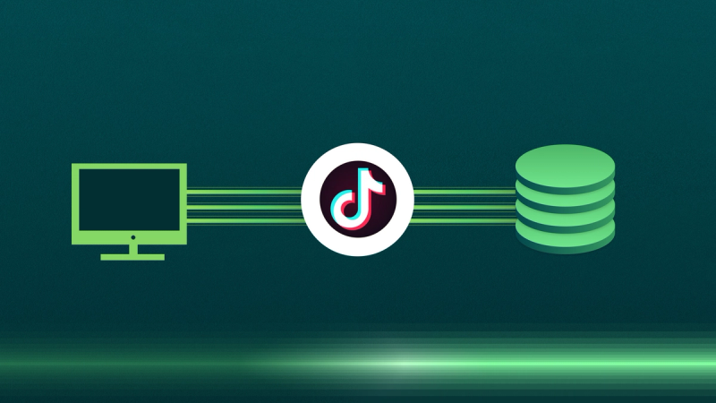 The Marketers Guide to TikTok Data Connections.